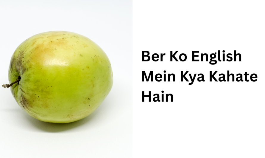 Ber Ko English Mein Kya Kahate Hain – बेर अंग्रेजी में क्या कहते हैं ?