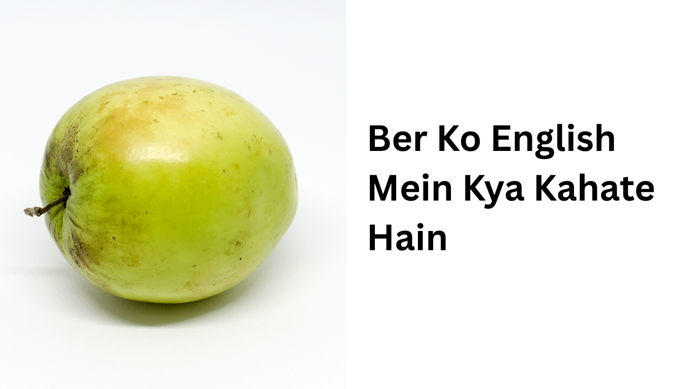 Ber Ko English Mein Kya Kahate Hain