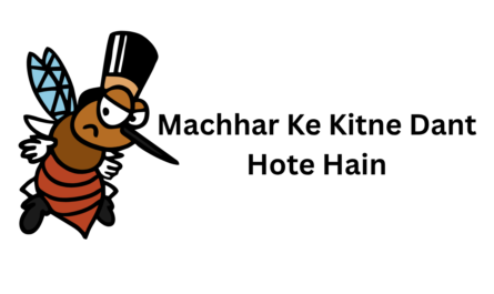Machhar Ke Kitne Dant Hote Hain
