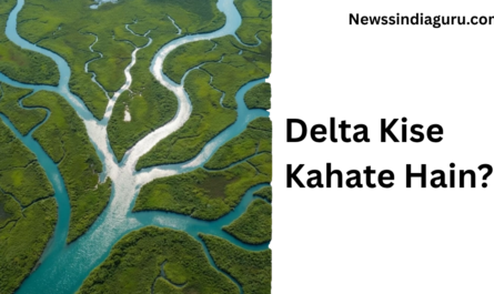 Delta Kise Kahate Hain