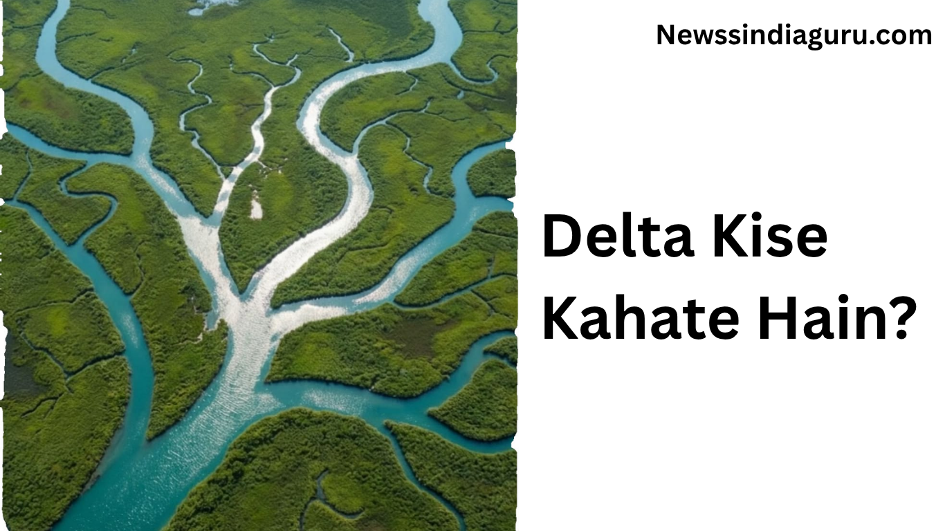 Delta Kise Kahate Hain